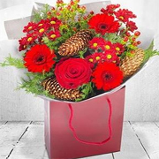 Christmas Old Classic